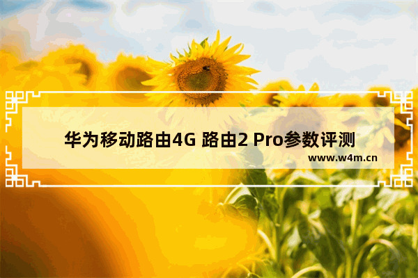 华为移动路由4G 路由2 Pro参数评测