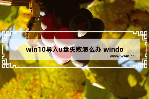 win10导入u盘失败怎么办 windows10安装到u盘失败