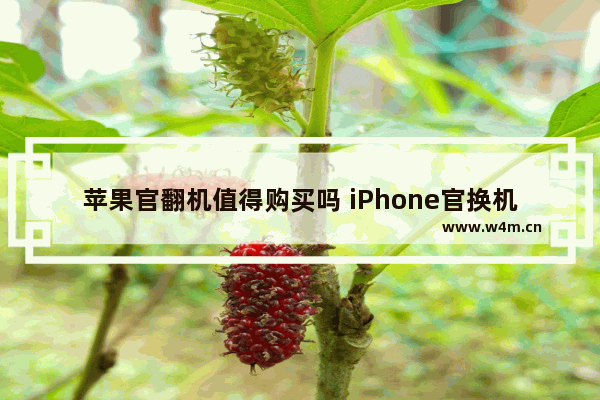 苹果官翻机值得购买吗 iPhone官换机全面详解