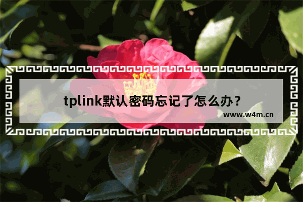 tplink默认密码忘记了怎么办？