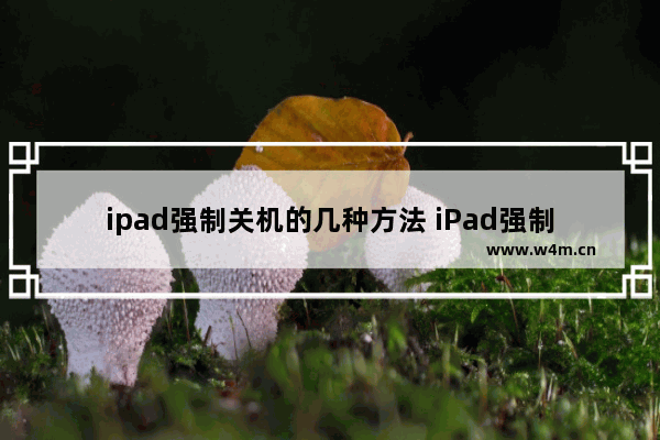 ipad强制关机的几种方法 iPad强制关机教程