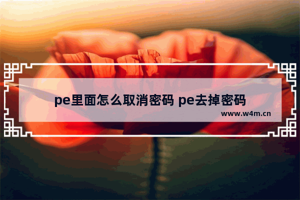 pe里面怎么取消密码 pe去掉密码