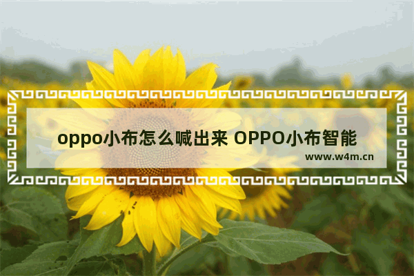 oppo小布怎么喊出来 OPPO小布智能助手玩法详解