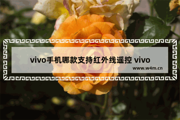 vivo手机哪款支持红外线遥控 vivo X90手机评测