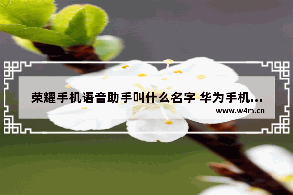 荣耀手机语音助手叫什么名字 华为手机自带的语音助手新玩法