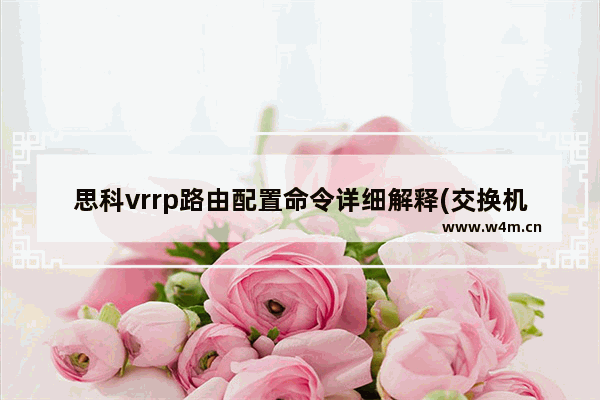 思科vrrp路由配置命令详细解释(交换机上配置vrrp)