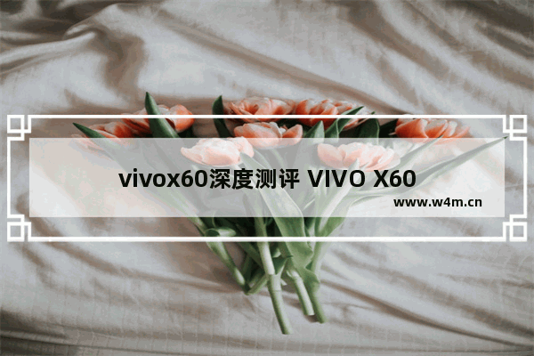 vivox60深度测评 VIVO X60上手体验