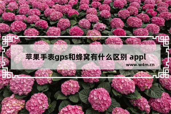 苹果手表gps和蜂窝有什么区别 applewatch蜂窝版和GPS版对比