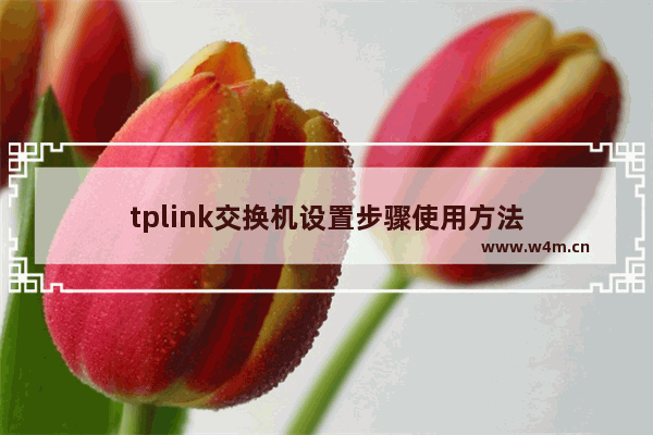 tplink交换机设置步骤使用方法