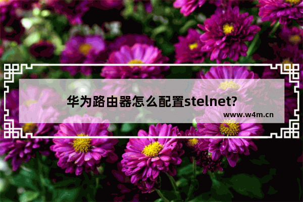 华为路由器怎么配置stelnet?