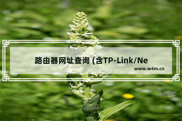 路由器网址查询 (含TP-Link/NetCore/Tenda/Mercury等)