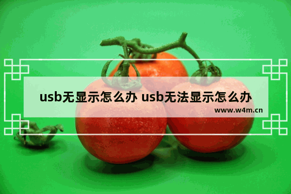 usb无显示怎么办 usb无法显示怎么办