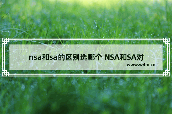 nsa和sa的区别选哪个 NSA和SA对比