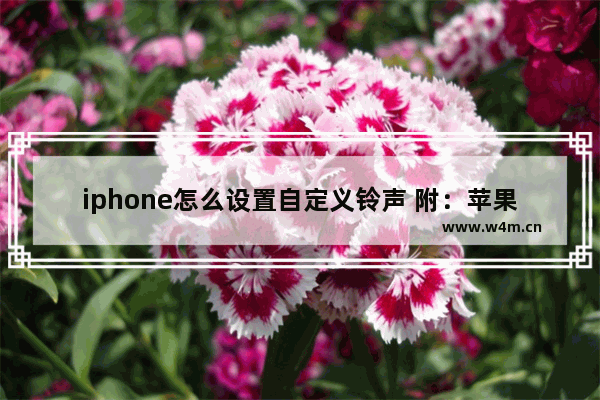 iphone怎么设置自定义铃声 附：苹果13自定义铃声操作教程