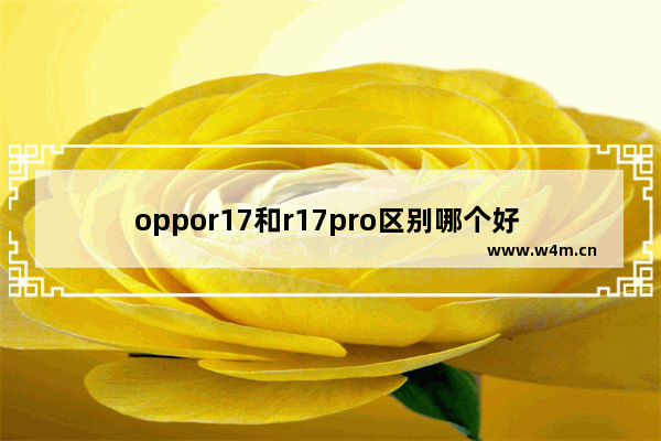 oppor17和r17pro区别哪个好 OPPO R17/Pro对比