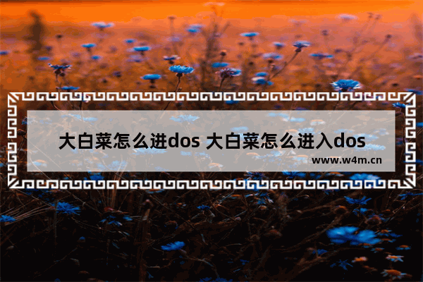 大白菜怎么进dos 大白菜怎么进入dos