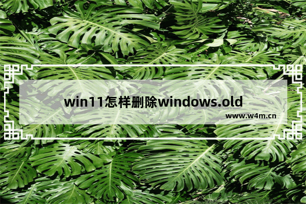 win11怎样删除windows.old文件 win10old怎么删除