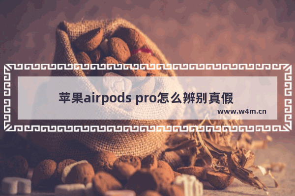 苹果airpods pro怎么辨别真假 辨别真假苹果AirPods Pro技巧