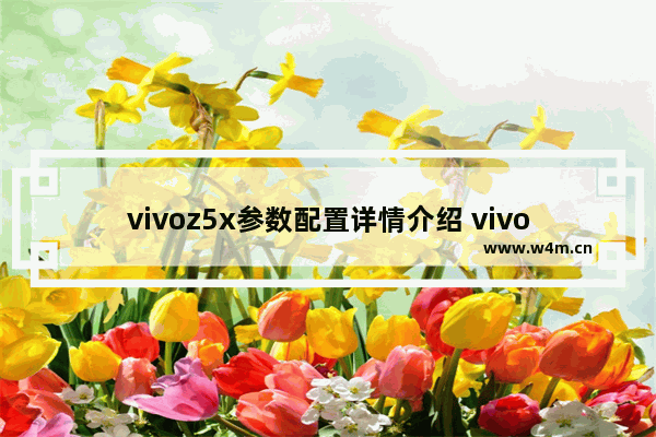 vivoz5x参数配置详情介绍 vivo Z5x详细评测