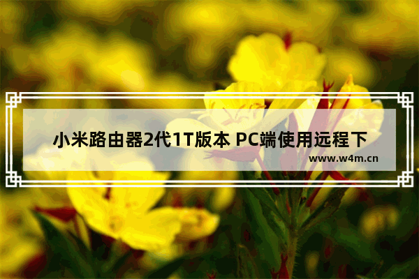 小米路由器2代1T版本 PC端使用远程下载的详细方法