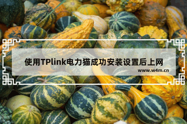 使用TPlink电力猫成功安装设置后上网步骤