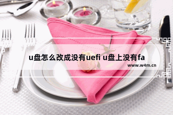 u盘怎么改成没有uefi u盘上没有fat32怎么改