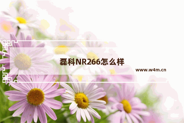 磊科NR266怎么样