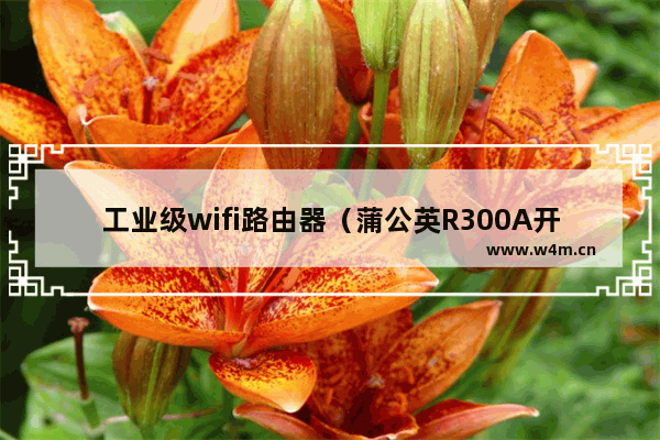 工业级wifi路由器（蒲公英R300A开箱）