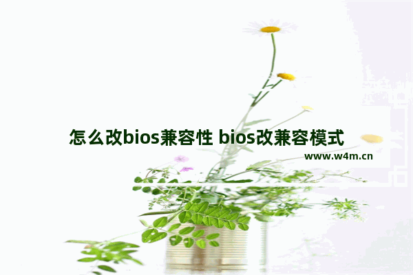 怎么改bios兼容性 bios改兼容模式