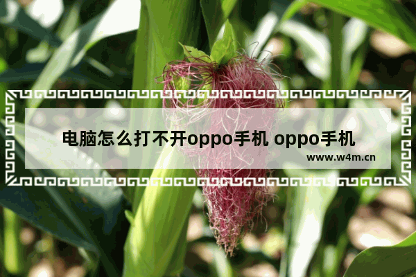 电脑怎么打不开oppo手机 oppo手机 电脑