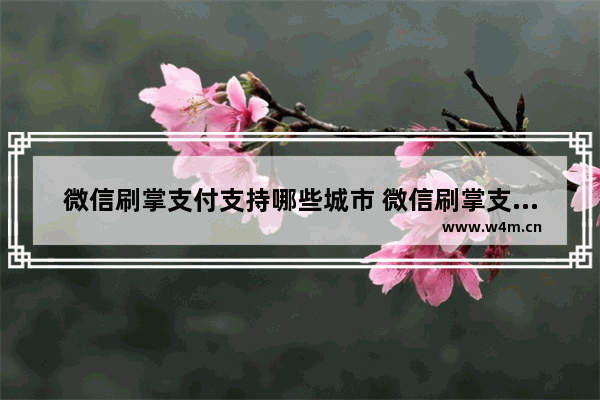 微信刷掌支付支持哪些城市 微信刷掌支付支持城市一览