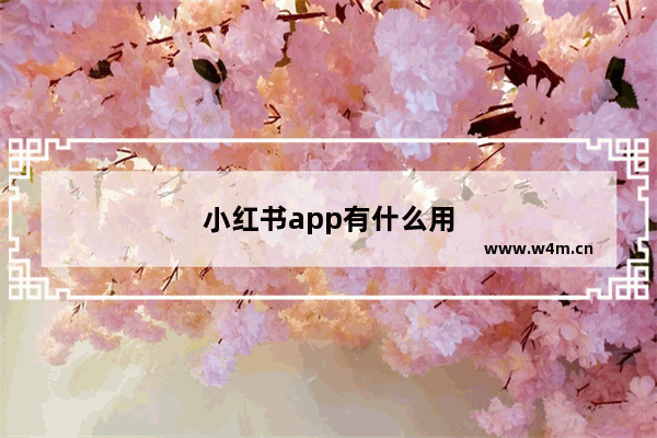 小红书app有什么用