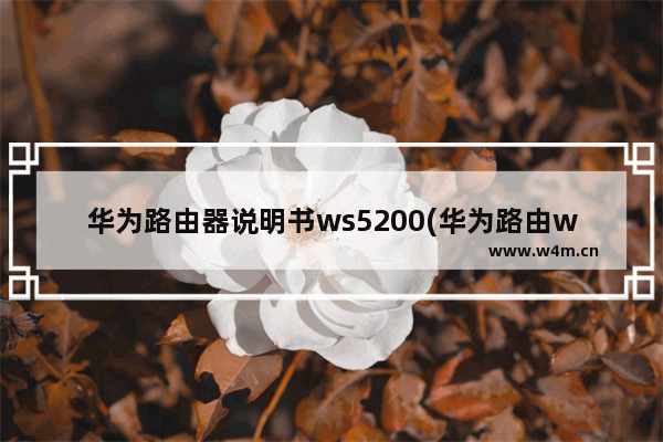 华为路由器说明书ws5200(华为路由ws5102怎么安装)