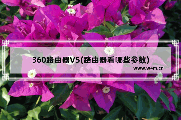 360路由器V5(路由器看哪些参数)