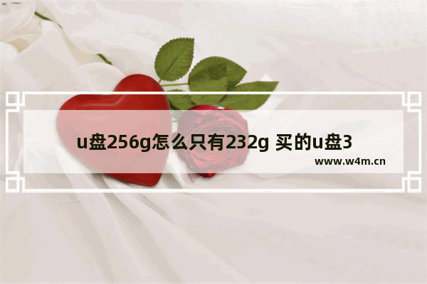 u盘256g怎么只有232g 买的u盘32g但只有28g