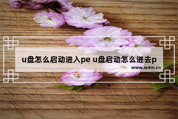 u盘怎么启动进入pe u盘启动怎么进去pe系统