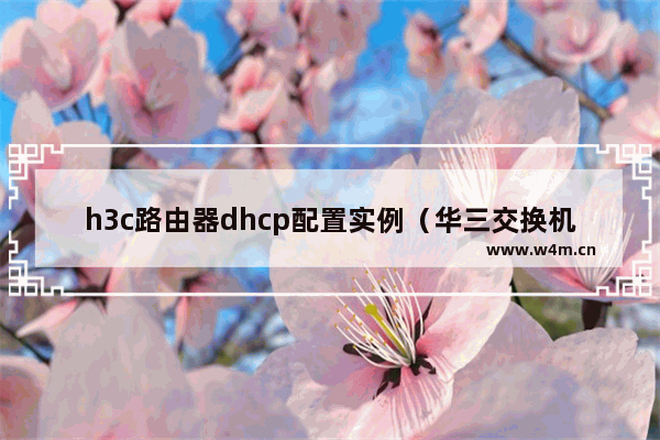 h3c路由器dhcp配置实例（华三交换机DHCP配置）