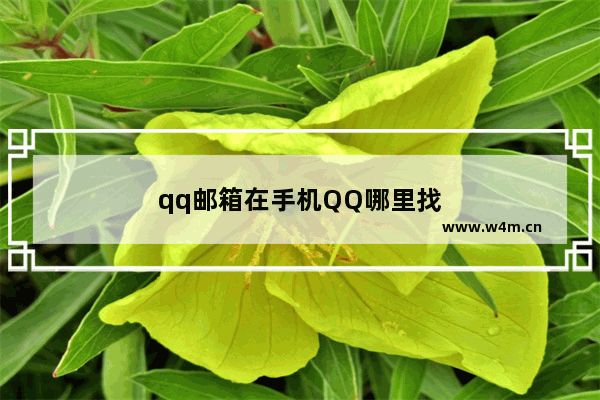 qq邮箱在手机QQ哪里找