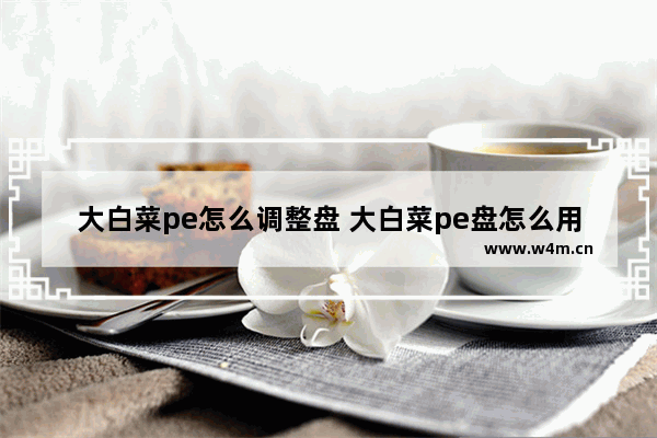 大白菜pe怎么调整盘 大白菜pe盘怎么用