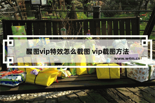 醒图vip特效怎么截图 vip截图方法