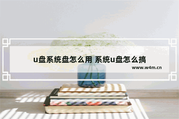 u盘系统盘怎么用 系统u盘怎么搞