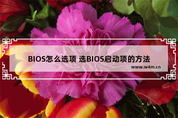 BIOS怎么选项 选BIOS启动项的方法