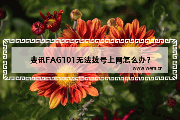 斐讯FAG101无法拨号上网怎么办？