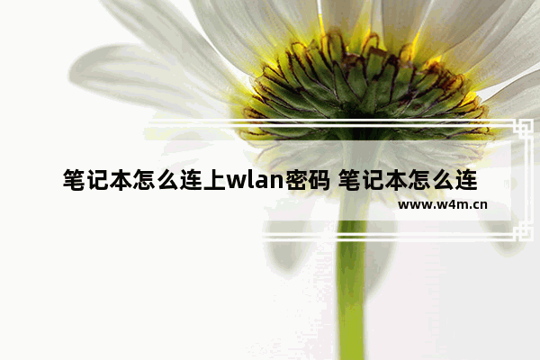 笔记本怎么连上wlan密码 笔记本怎么连无线网络wifi密码