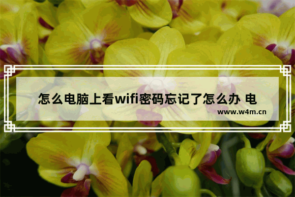 怎么电脑上看wifi密码忘记了怎么办 电脑wifi密码忘了怎么找