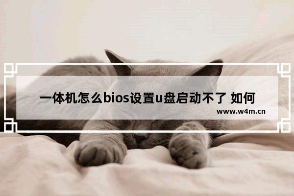 一体机怎么bios设置u盘启动不了 如何设置BIOS让一体机能够从U盘启动