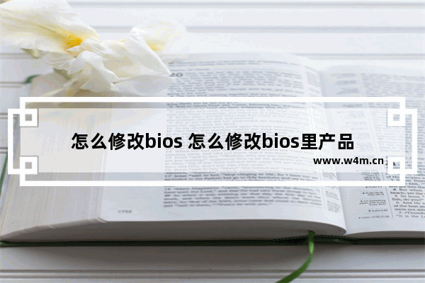 怎么修改bios 怎么修改bios里产品名称