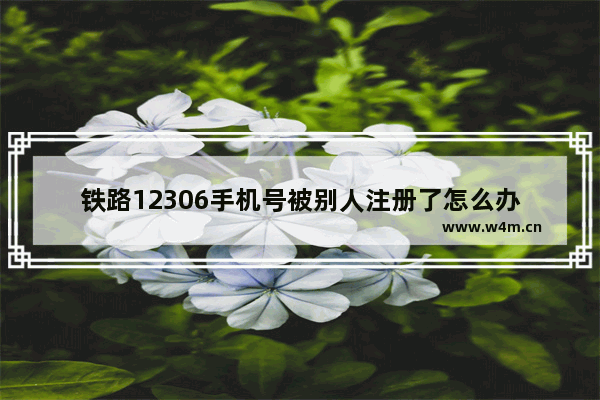 铁路12306手机号被别人注册了怎么办