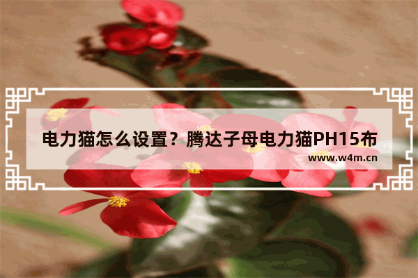 电力猫怎么设置？腾达子母电力猫PH15布置无线WiFi图文教程