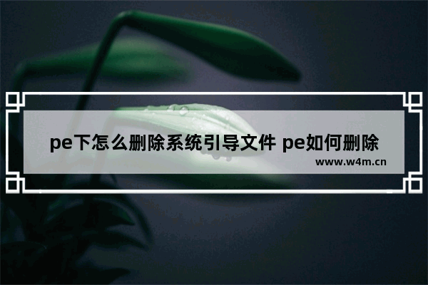 pe下怎么删除系统引导文件 pe如何删除系统引导